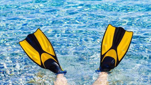 Feet in flippers fins on sea shore